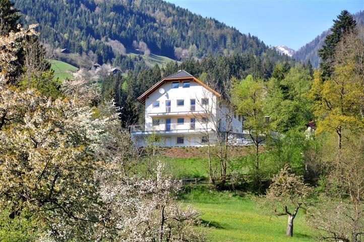 Haus Pflaum Lägenhet Dellach im Drautal Exteriör bild